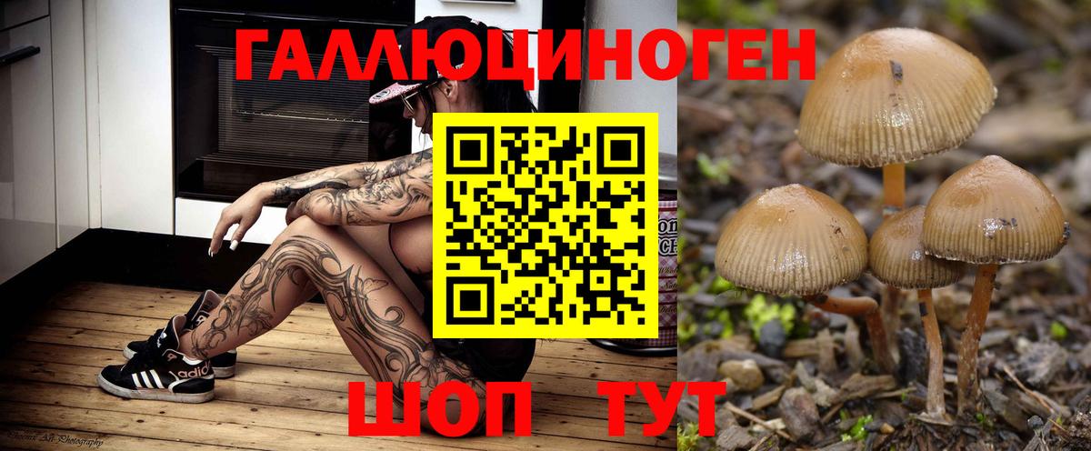 Галлюциногенные грибы Cubensis  Вход с VPN  Егорьевск  Галлюциногенные грибы прущие грибы 