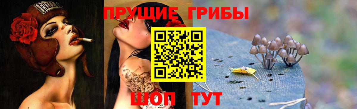 Псилоцибиновые грибы Psilocybine cubensis Егорьевск